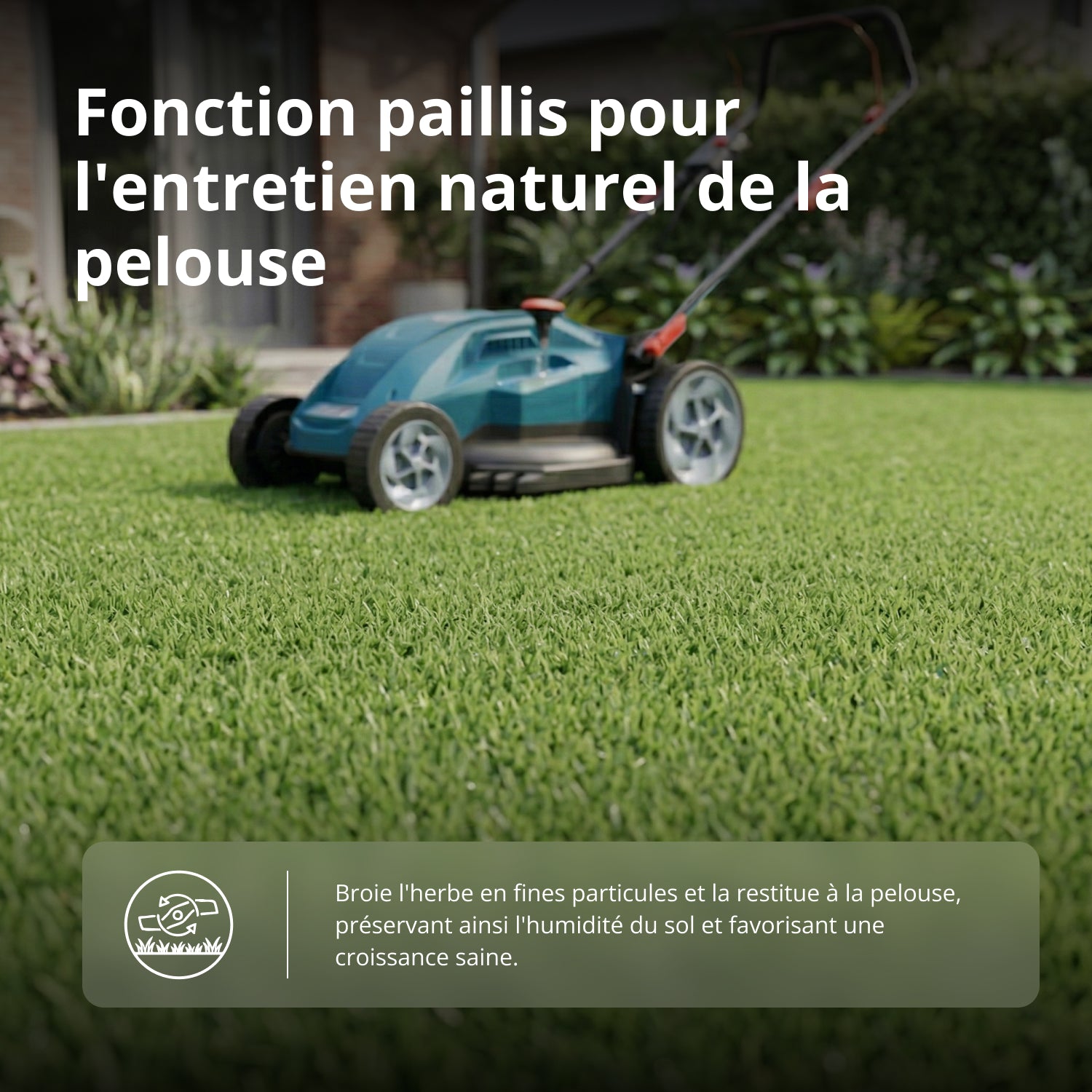 Tondeuse électrique KS 43LM20